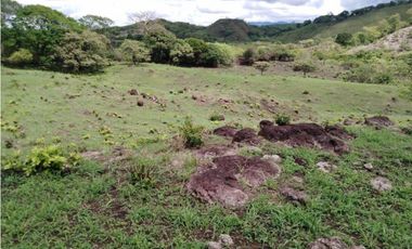 SEA Confiable VENDE TERRENO 7Has 2,795m2 en Cabuya-Chame