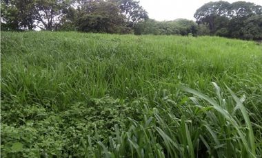SEA Confiable VENDE TERRENO 7Has 2,795m2 en Cabuya-Chame
