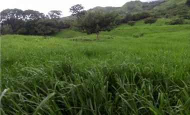 SEA Confiable VENDE TERRENO 7Has 2,795m2 en Cabuya-Chame