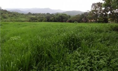 SEA Confiable VENDE TERRENO 7Has 2,795m2 en Cabuya-Chame