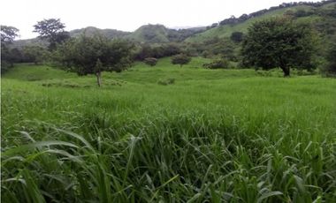 SEA Confiable VENDE TERRENO 7Has 2,795m2 en Cabuya-Chame