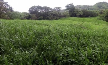 SEA Confiable VENDE TERRENO 7Has 2,795m2 en Cabuya-Chame