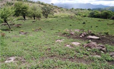 SEA Confiable VENDE TERRENO 7Has 2,795m2 en Cabuya-Chame