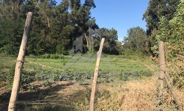 Sitio en Venta en camino chanquico San Javier