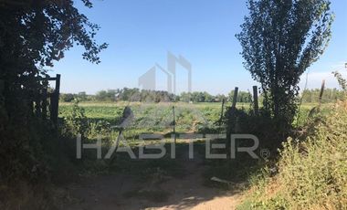 Sitio en Venta en camino chanquico San Javier