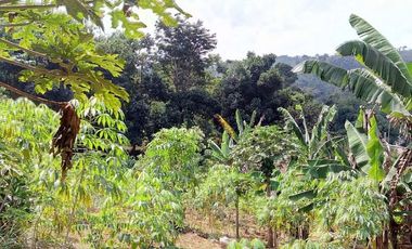 Villa dijual hitung tanah dibawah harga pasaran Bandung 3,5M