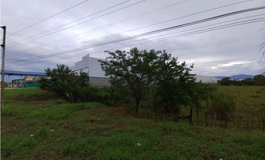Excelente Oportunidad! Terreno Sobre Via Interamericana En Pacora
