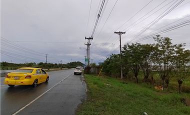 Excelente Oportunidad! Terreno Sobre Via Interamericana En Pacora