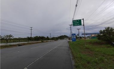 Excelente Oportunidad! Terreno Sobre Via Interamericana En Pacora