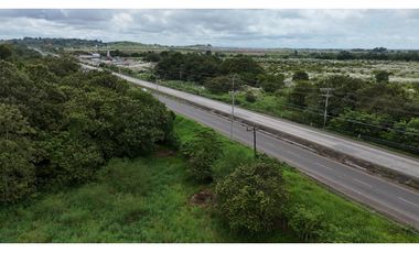 Excelente Oportunidad! Terreno Sobre Via Interamericana En Pacora