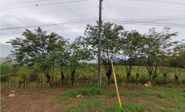 Excelente Oportunidad! Terreno Sobre Via Interamericana En Pacora