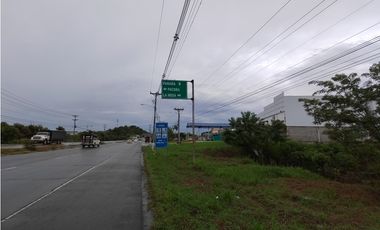 Excelente Oportunidad! Terreno Sobre Via Interamericana En Pacora