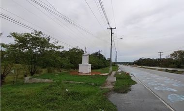 Excelente Oportunidad! Terreno Sobre Via Interamericana En Pacora