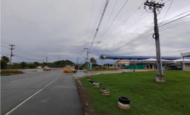 Excelente Oportunidad! Terreno Sobre Via Interamericana En Pacora