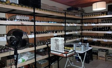 Vende Local Comercial Km.13 A Pinto