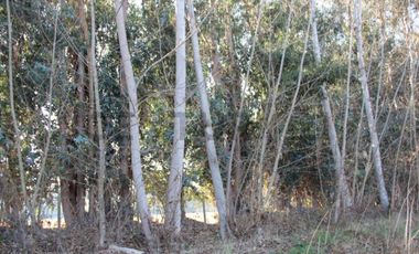 Se vende parcela de agrado en Paine