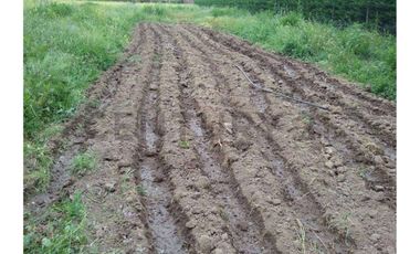 Se vende parcela de agrado en Paine