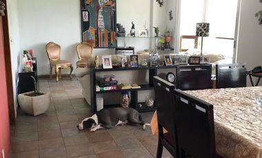 Venta, Edificio , Campestre Coyoacán