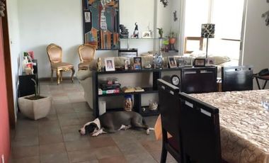 Venta, Edificio , Campestre Coyoacán