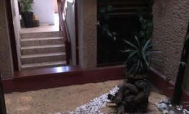 Venta, Edificio , Campestre Coyoacán