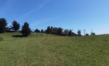 CAMPO EN VENTA SECTOR CATRICO LA MAÑANA ,  CUNCO
