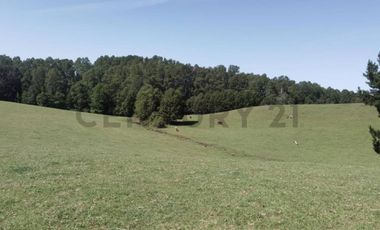 CAMPO EN VENTA SECTOR CATRICO LA MAÑANA ,  CUNCO