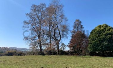 CAMPO EN VENTA SECTOR CATRICO LA MAÑANA ,  CUNCO