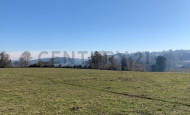 CAMPO EN VENTA SECTOR CATRICO LA MAÑANA ,  CUNCO