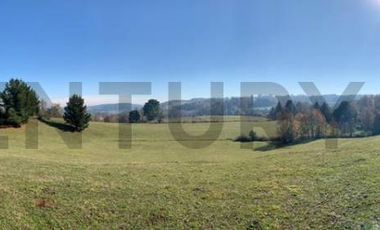 CAMPO EN VENTA SECTOR CATRICO LA MAÑANA ,  CUNCO