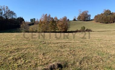CAMPO EN VENTA SECTOR CATRICO LA MAÑANA ,  CUNCO