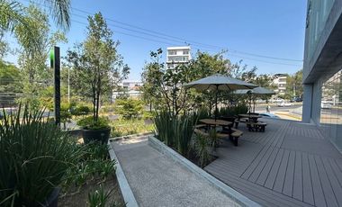 Oficinas Corporativas