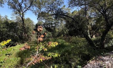 TERRENO VENTA EN OLINALA