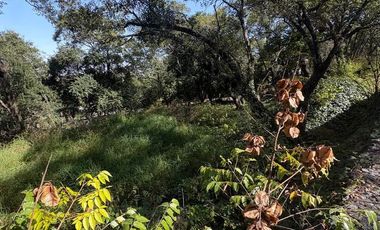 TERRENO VENTA EN OLINALA