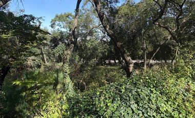 TERRENO VENTA EN OLINALA