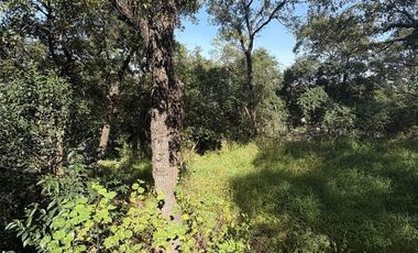 TERRENO VENTA EN OLINALA