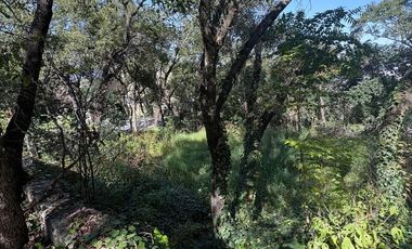 TERRENO VENTA EN OLINALA