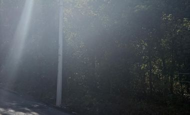 TERRENO VENTA EN OLINALA