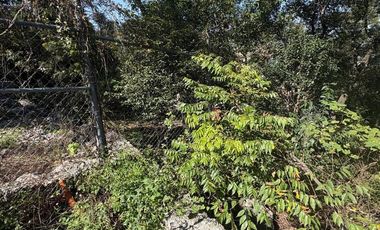 TERRENO VENTA EN OLINALA