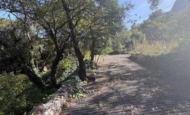 TERRENO VENTA EN OLINALA