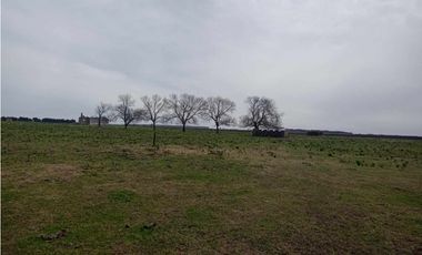 Se vende granja de 28 hectáreas en excelente ubicación.