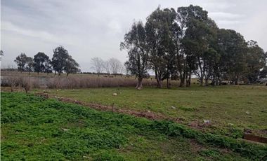 Se vende granja de 28 hectáreas en excelente ubicación.