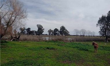 Se vende granja de 28 hectáreas en excelente ubicación.