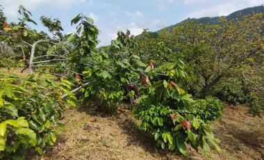 finca en venta en cundinamarca. Cod V3542