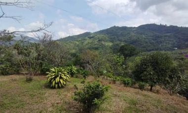finca en venta en cundinamarca. Cod V3542