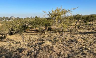 Terreno - Alta Gracia Country Golf