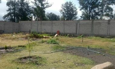 Predio en Venta Jocotepec