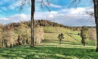 Terreno Construccion  en Venta en Los Muermos