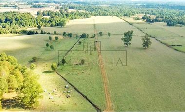 Terreno Construccion  en Venta en Los Muermos