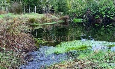 Terreno Construccion  en Venta en Los Muermos