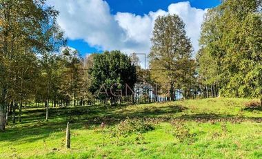 Terreno Construccion  en Venta en Los Muermos